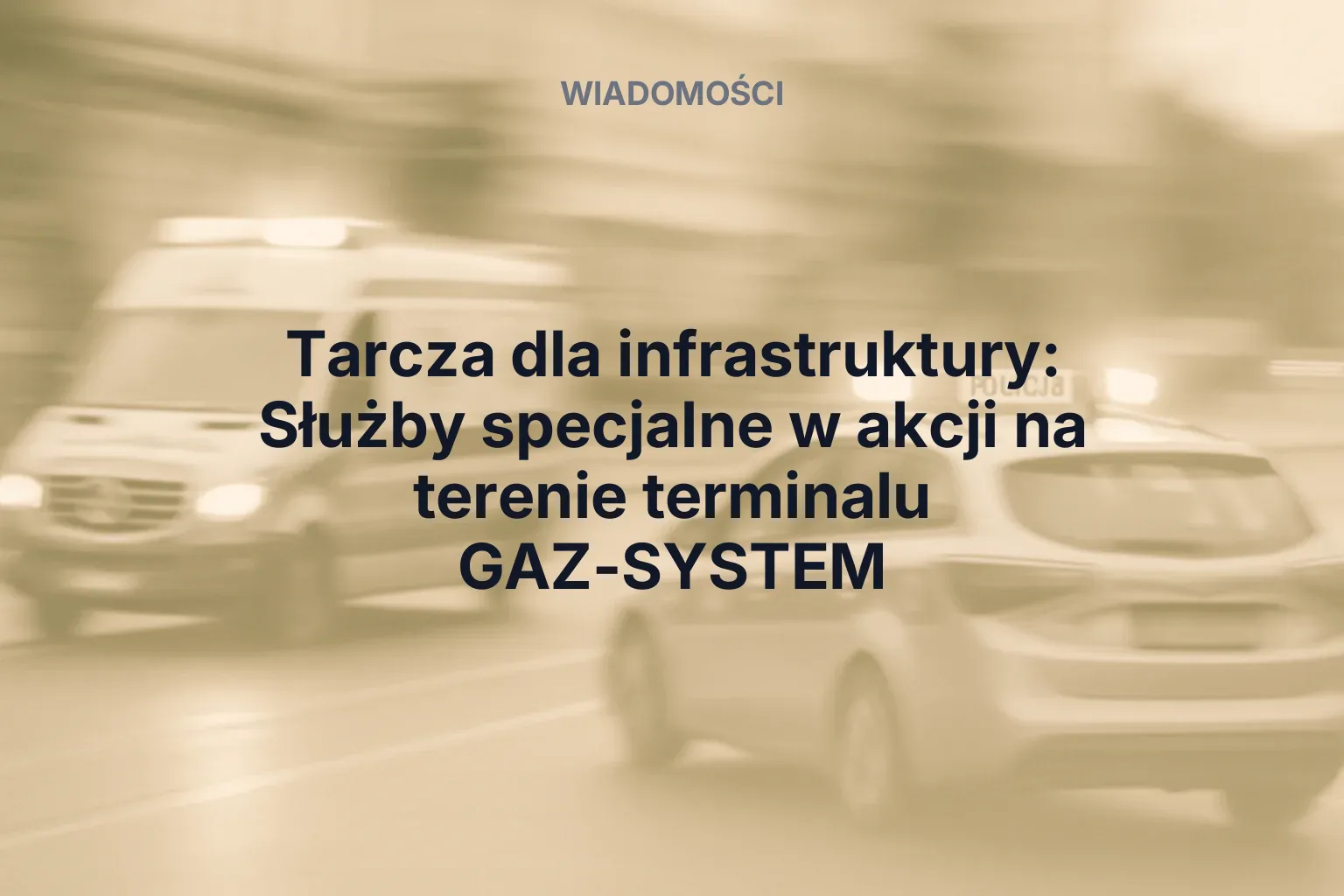 Miniatura: Tarcza dla infrastruktury: Służby specjalne w akcji na terenie terminalu GAZ-SYSTEM